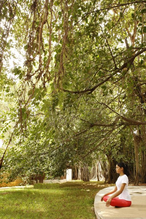 Heritage Madurai Εξωτερικό φωτογραφία The canopy of a tropical rainforest