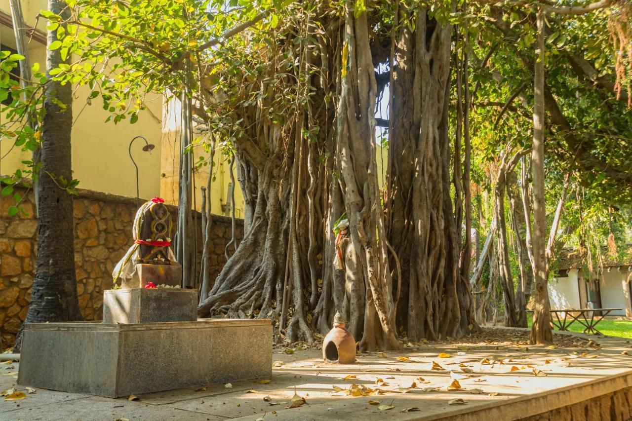 Heritage Madurai Εξωτερικό φωτογραφία The Banyan Tree at the University of Madras