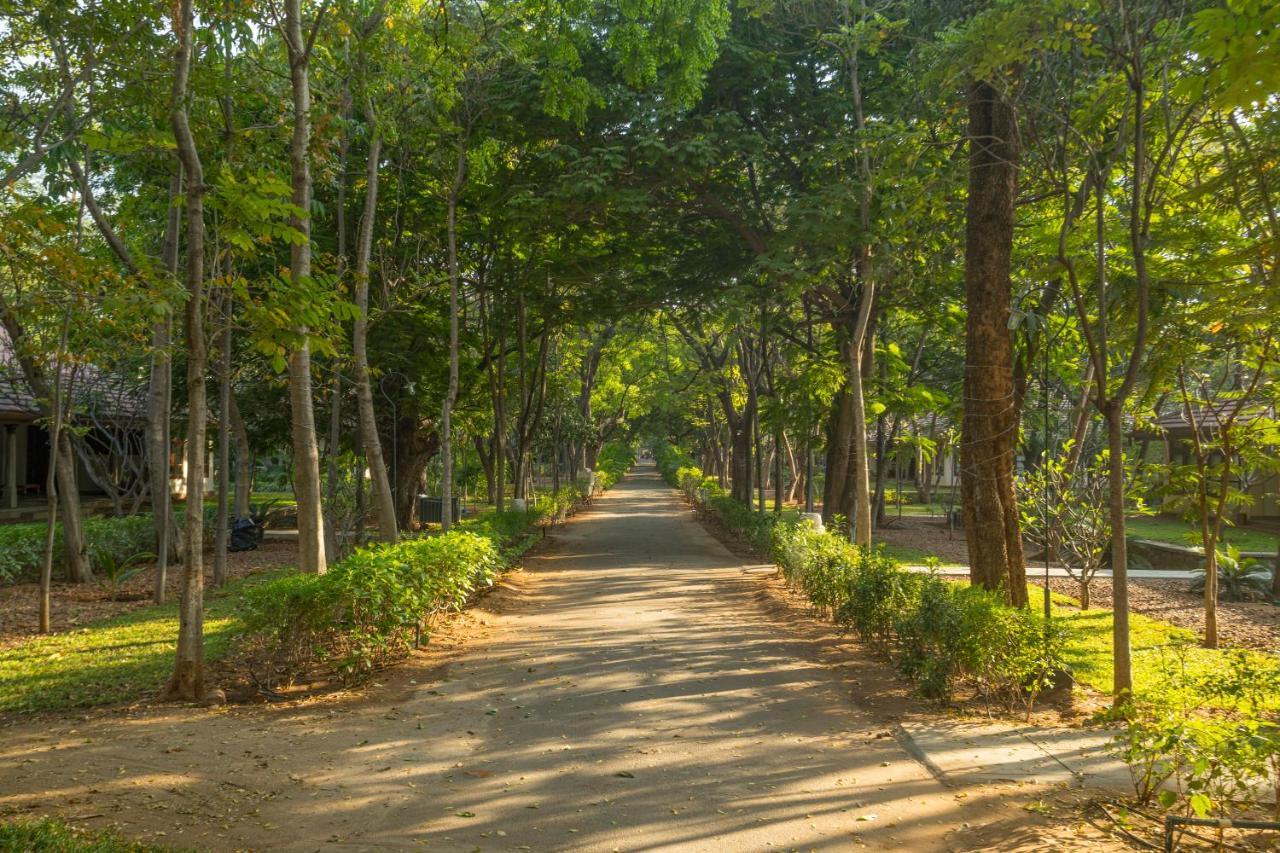 Heritage Madurai Εξωτερικό φωτογραφία A road in the park